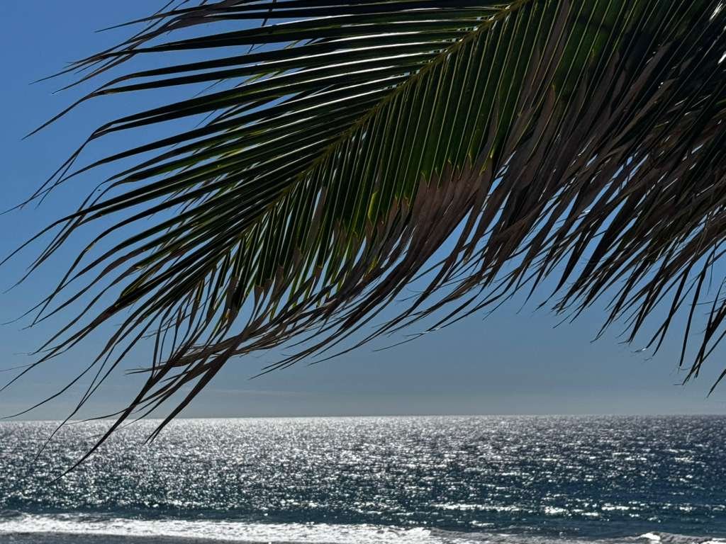 photo 2026 01 05 17 11 14