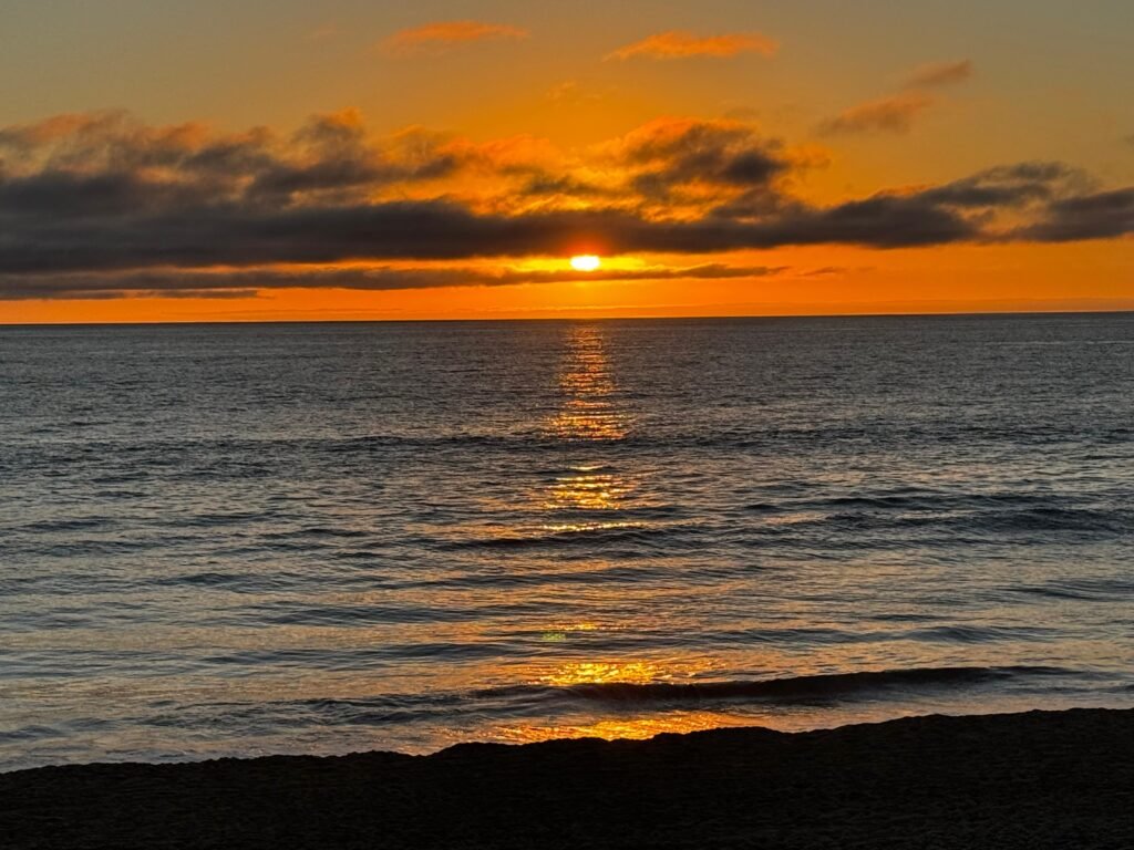 d0947ba2 e506 4fab a83b 185214713dbb