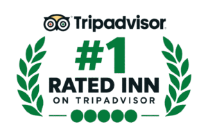 insignia de premio tripadvisor #1